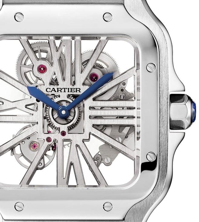 Carter Santos Skeleton watch.